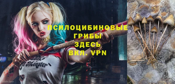 твердый Абдулино
