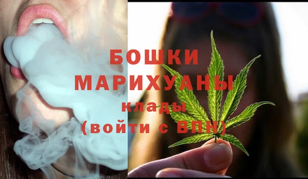 крисы Аркадак