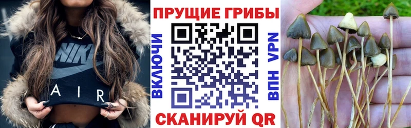 Псилоцибиновые грибы мицелий  KRAKEN рабочий сайт  Рубцовск 
